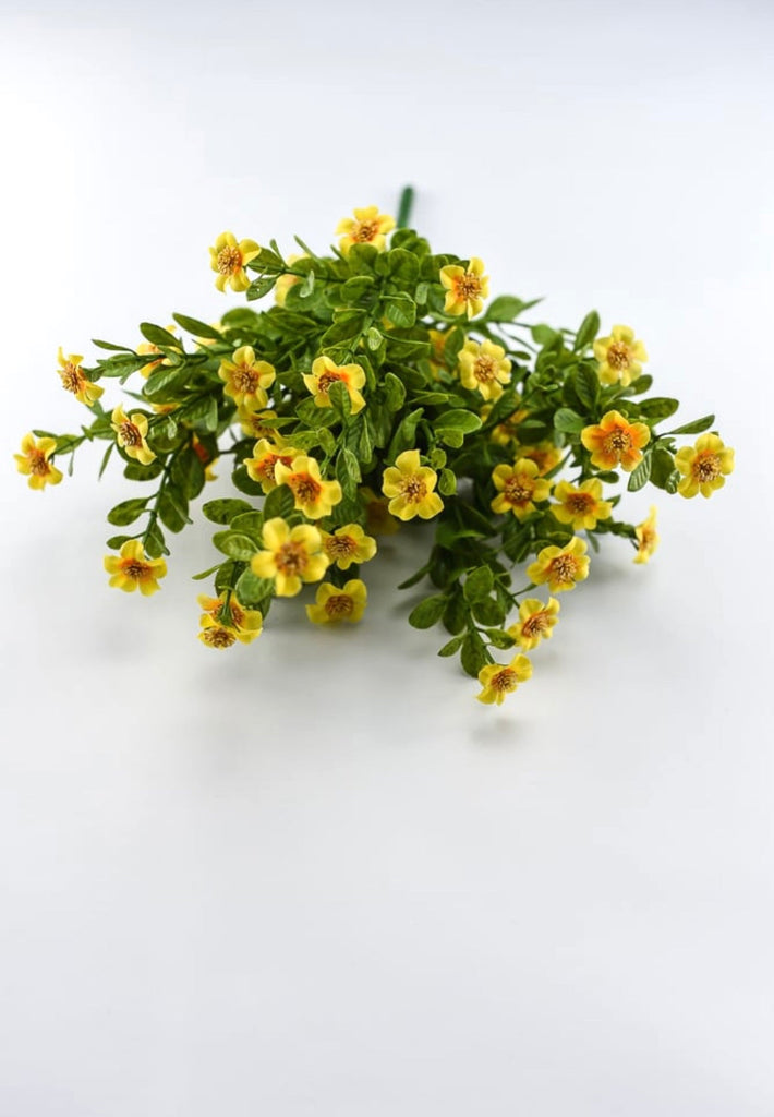 Yellow filler flower bush - Greenery Market