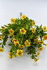 Yellow filler flower bush - Greenery Market82396-yel