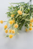 Yellow Mixed greenery and thistle flower - Greenery MarketArtificial Flora80292