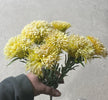 Yellow thistle bush - Greenery Marketartificial flowers27015